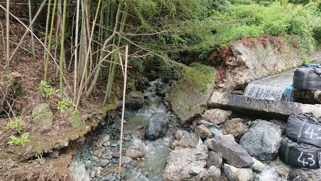 放置竹林と渓流、荒廃する里山の様子