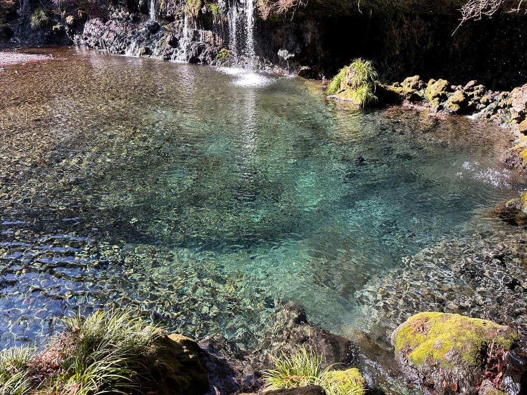 森の中の清らかな湧水と小さな滝
